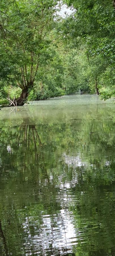 L'Enclos Bleu, Gite - Marais Poitevin Avec Piscine Chauffee Chaille-Les-Marais ภายนอก รูปภาพ